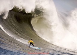 857直播看球平台-浦和红钻比赛录像全收录，世俱杯赛事全景回放轻松获取