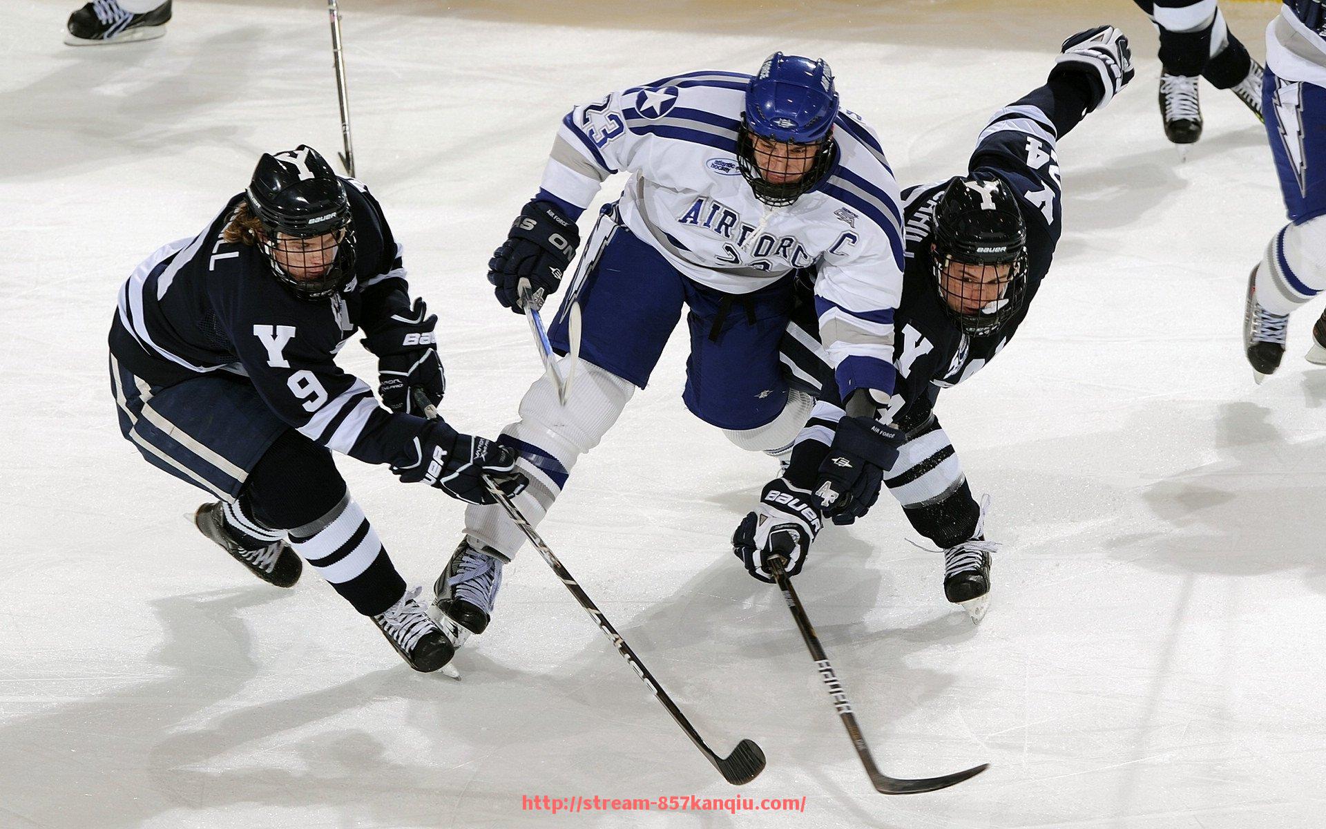 857直播看球平台-浦和红钻比赛录像全收录，世俱杯赛事全景回放轻松获取